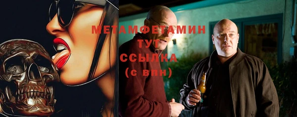 прущие грибы Абаза