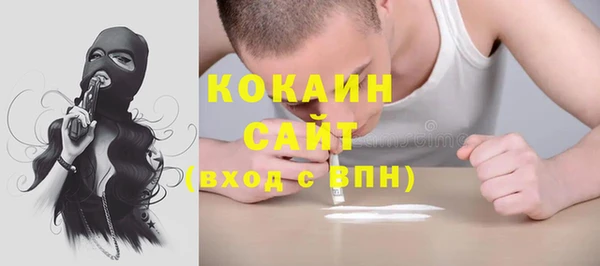 прущие грибы Абаза