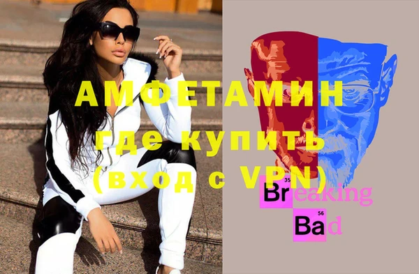 прущие грибы Абаза