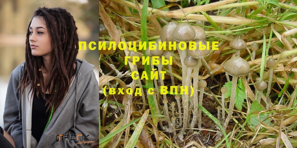 дживик Алексин