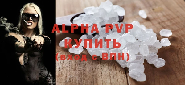 прущие грибы Абаза