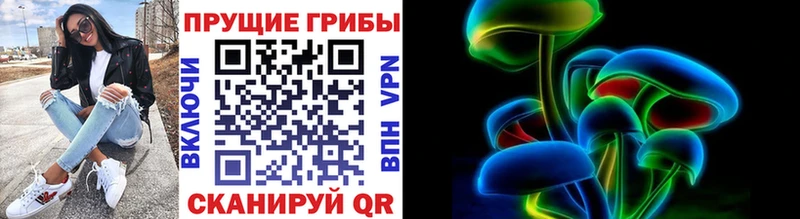 где можно купить   Дербент  Галлюциногенные грибы мицелий 